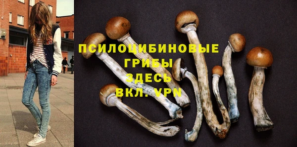 МДПВ Алексин