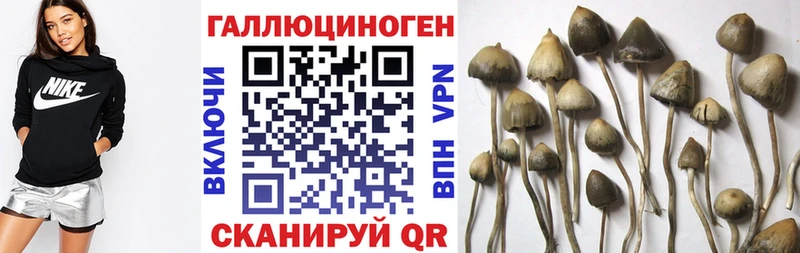 Псилоцибиновые грибы мицелий shop как зайти Учалы купить наркотики цена kraken рабочий сайт