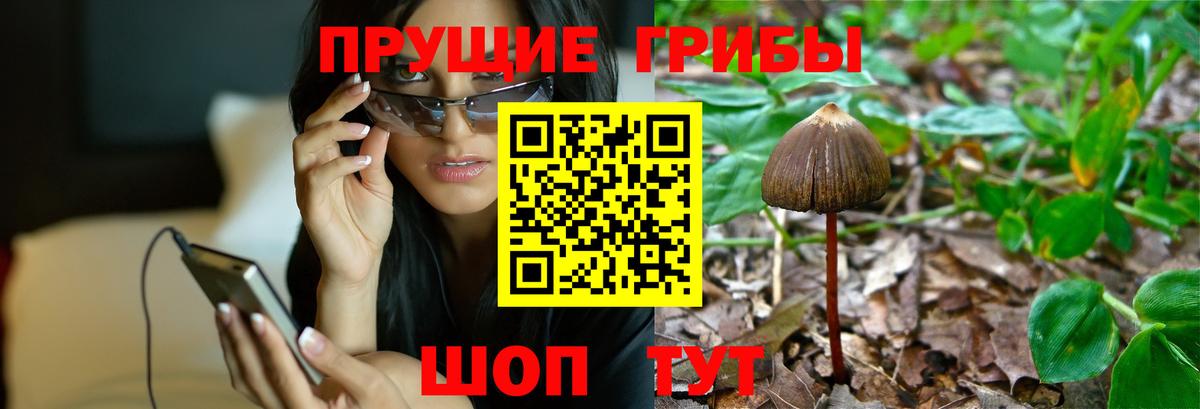 Галлюциногенные грибы GOLDEN TEACHER Учалы